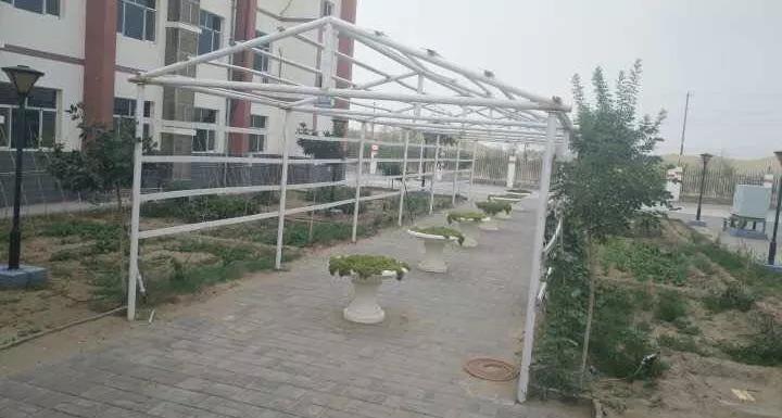 ¿Ê±|AG(AsiaGaming)ÓÅÖÊÔËÓªÉÌ