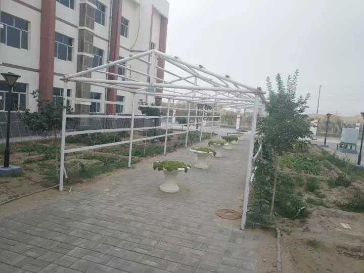 ¿Ê±|AG(AsiaGaming)ÓÅÖÊÔËÓªÉÌ