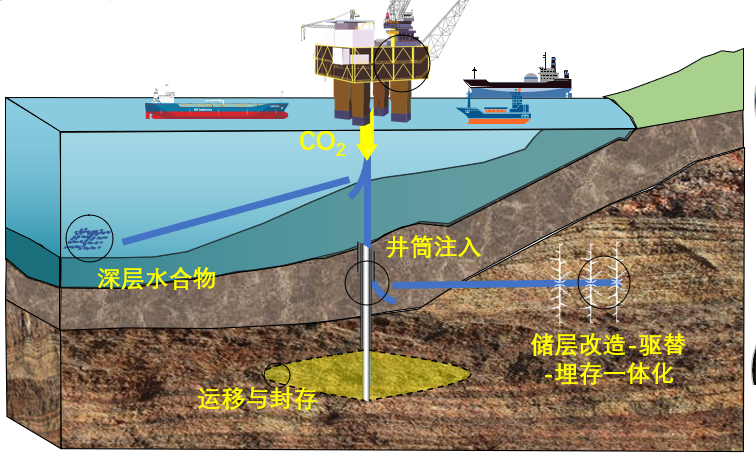 凯时|AG(AsiaGaming)优质运营商