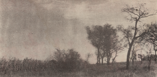 ¿Ê±|AG(AsiaGaming)ÓÅÖÊÔËÓªÉÌ