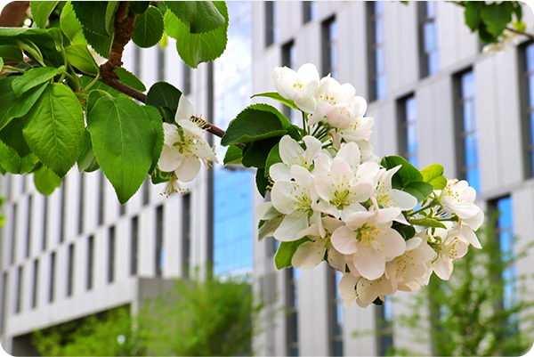 凯时|AG(AsiaGaming)优质运营商