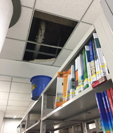 6b972f00eb554e57ac5c7fd8c371830a.png image.png