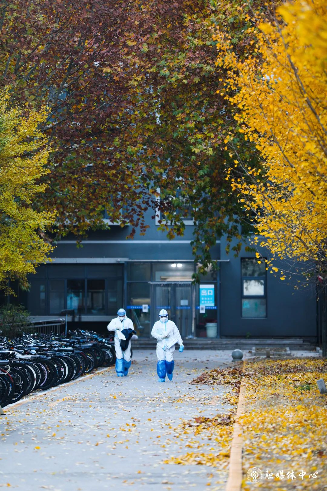 ¿Ê±|AG(AsiaGaming)ÓÅÖÊÔËÓªÉÌ