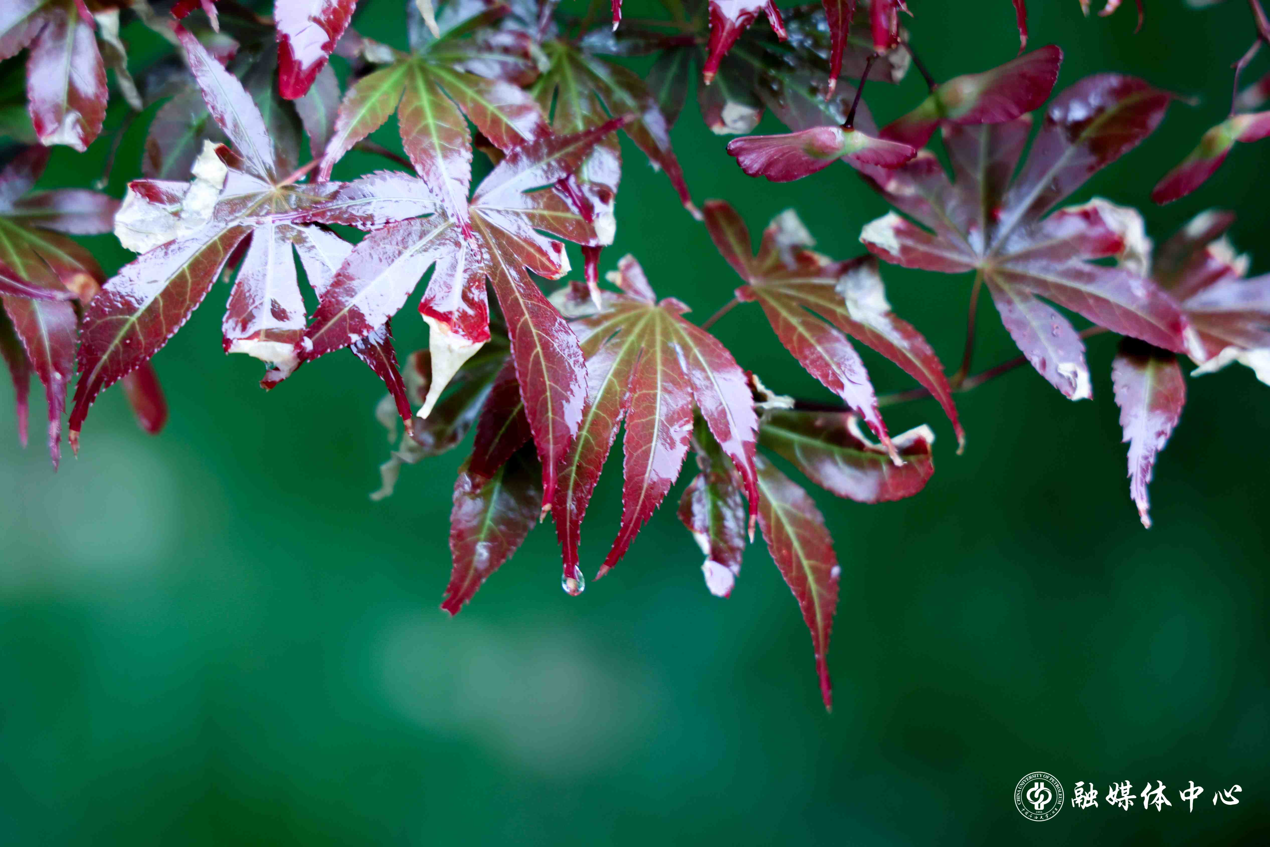 凯时|AG(AsiaGaming)优质运营商