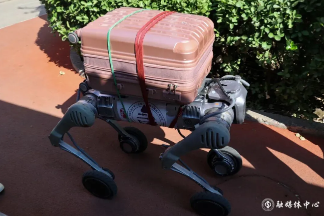 凯时|AG(AsiaGaming)优质运营商