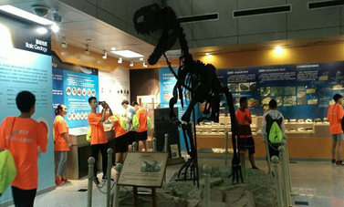 凯时|AG(AsiaGaming)优质运营商