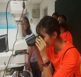 凯时|AG(AsiaGaming)优质运营商