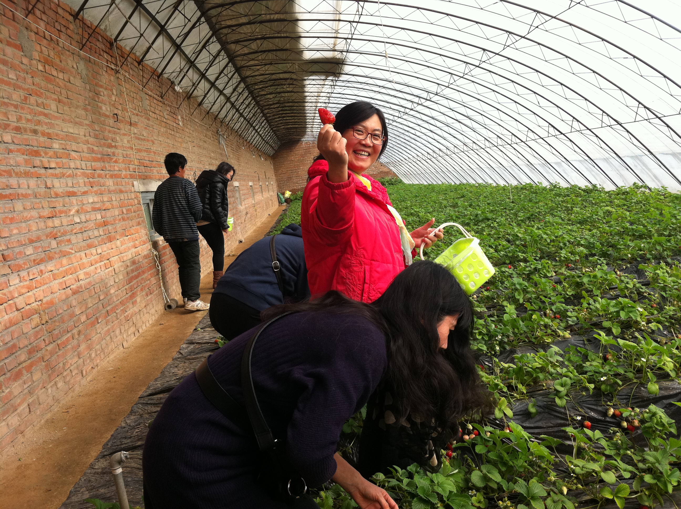 凯时|AG(AsiaGaming)优质运营商