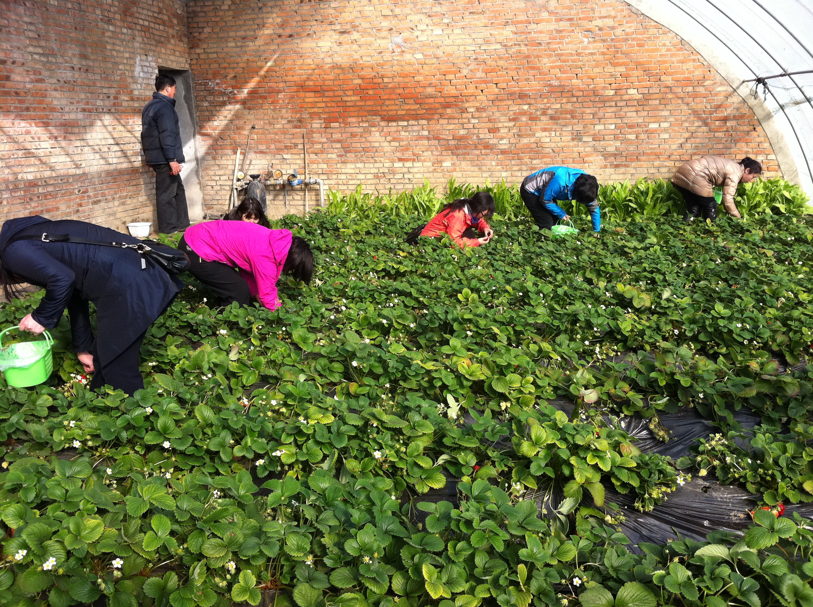 凯时|AG(AsiaGaming)优质运营商