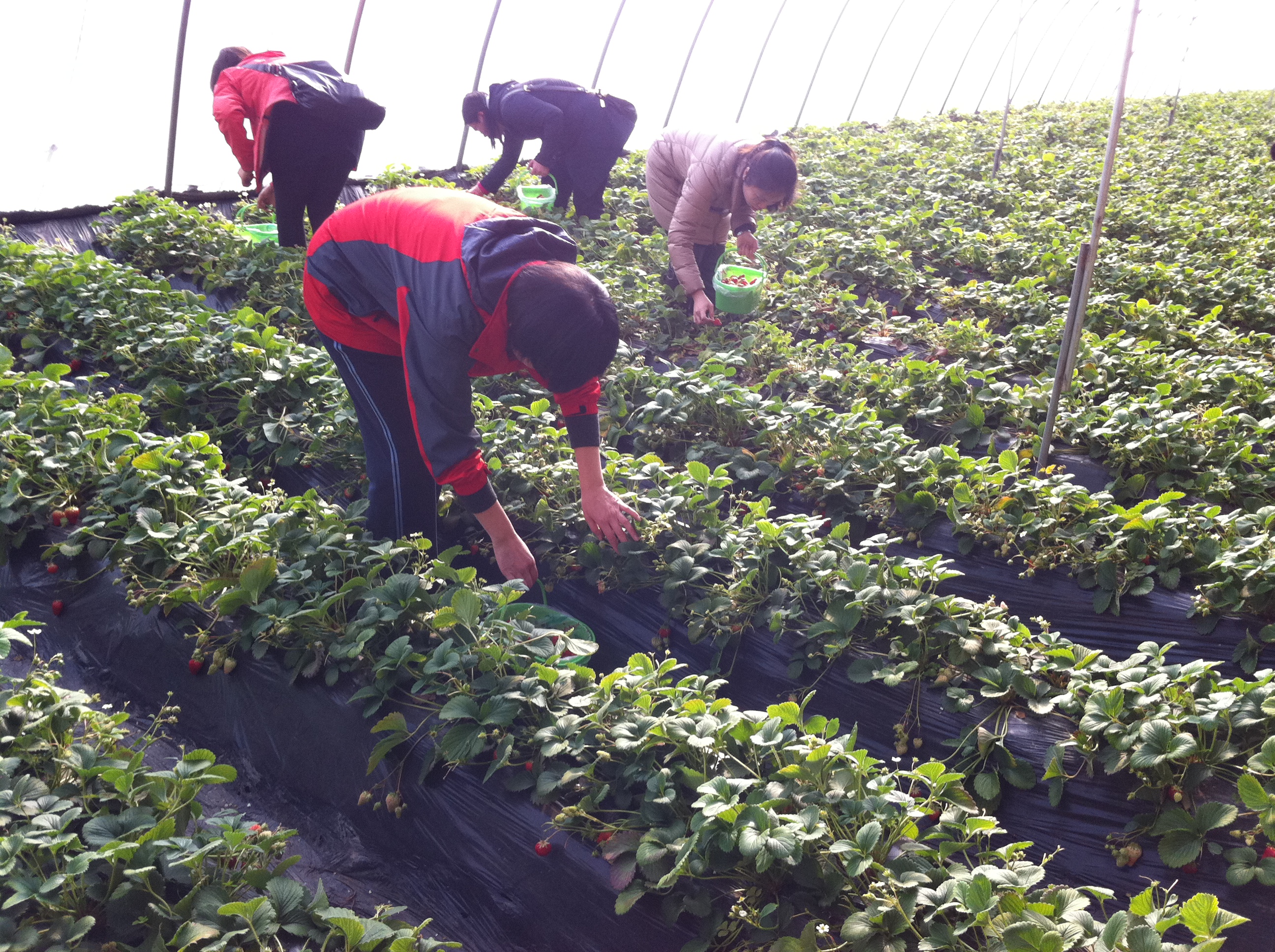 凯时|AG(AsiaGaming)优质运营商