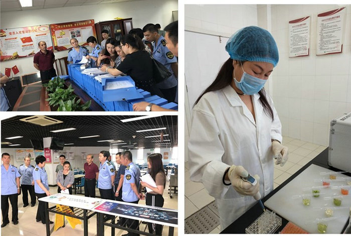 凯时|AG(AsiaGaming)优质运营商