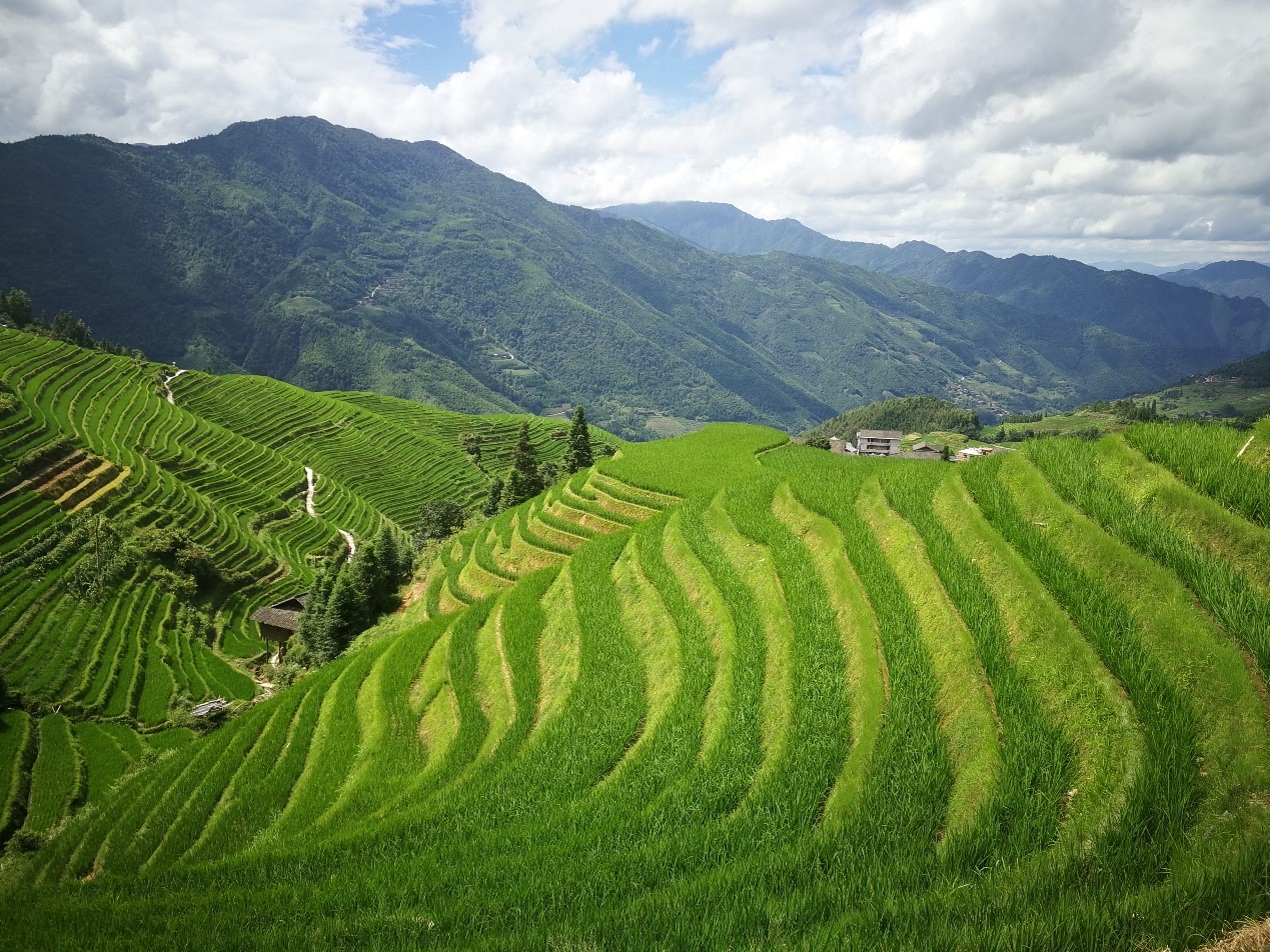 ¿Ê±|AG(AsiaGaming)ÓÅÖÊÔËÓªÉÌ