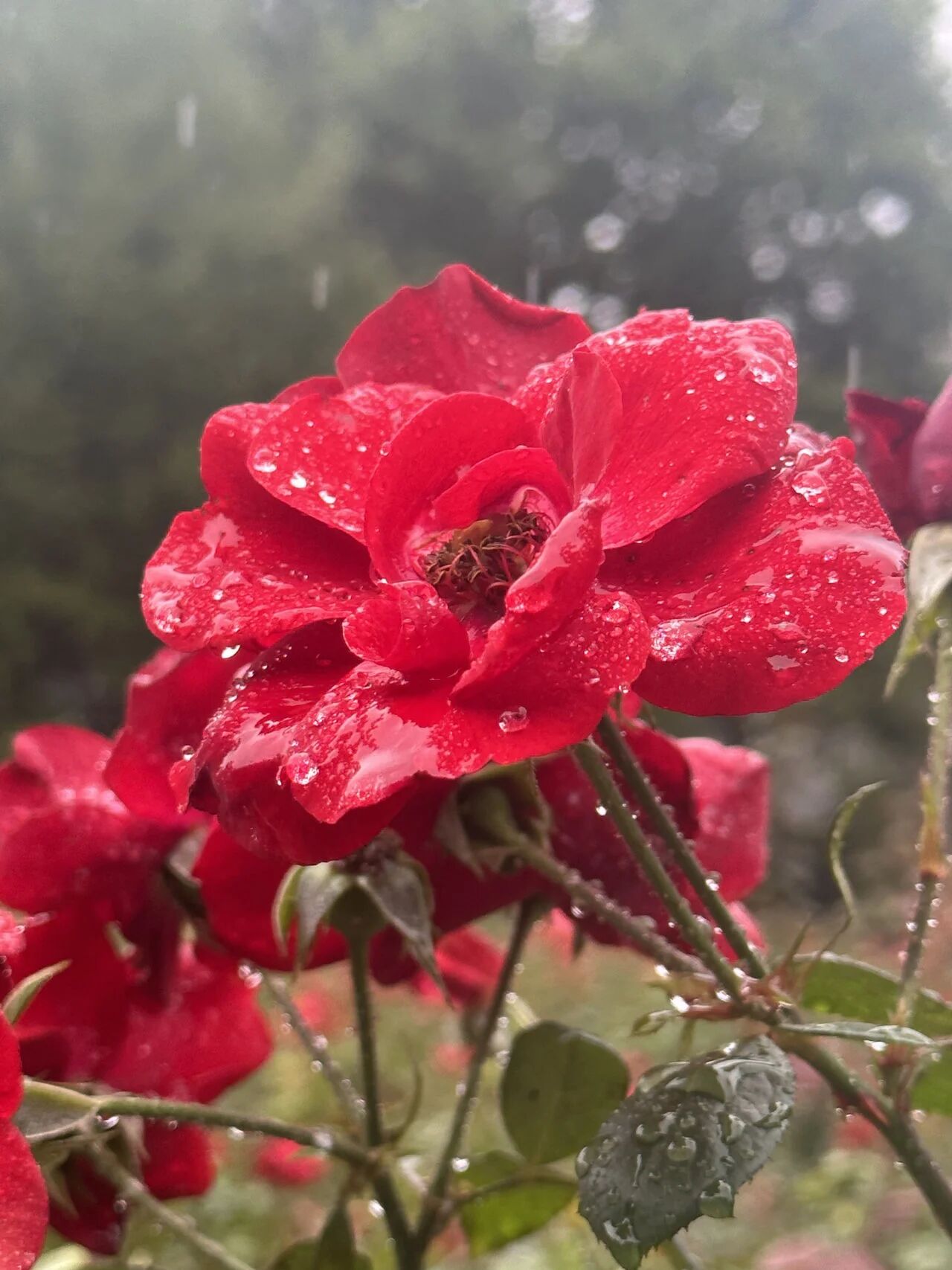 凯时|AG(AsiaGaming)优质运营商