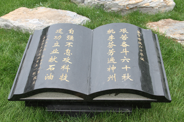 ¿Ê±|AG(AsiaGaming)ÓÅÖÊÔËÓªÉÌ