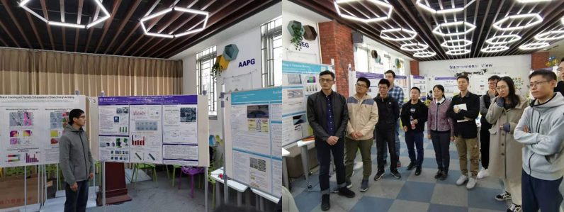 凯时|AG(AsiaGaming)优质运营商