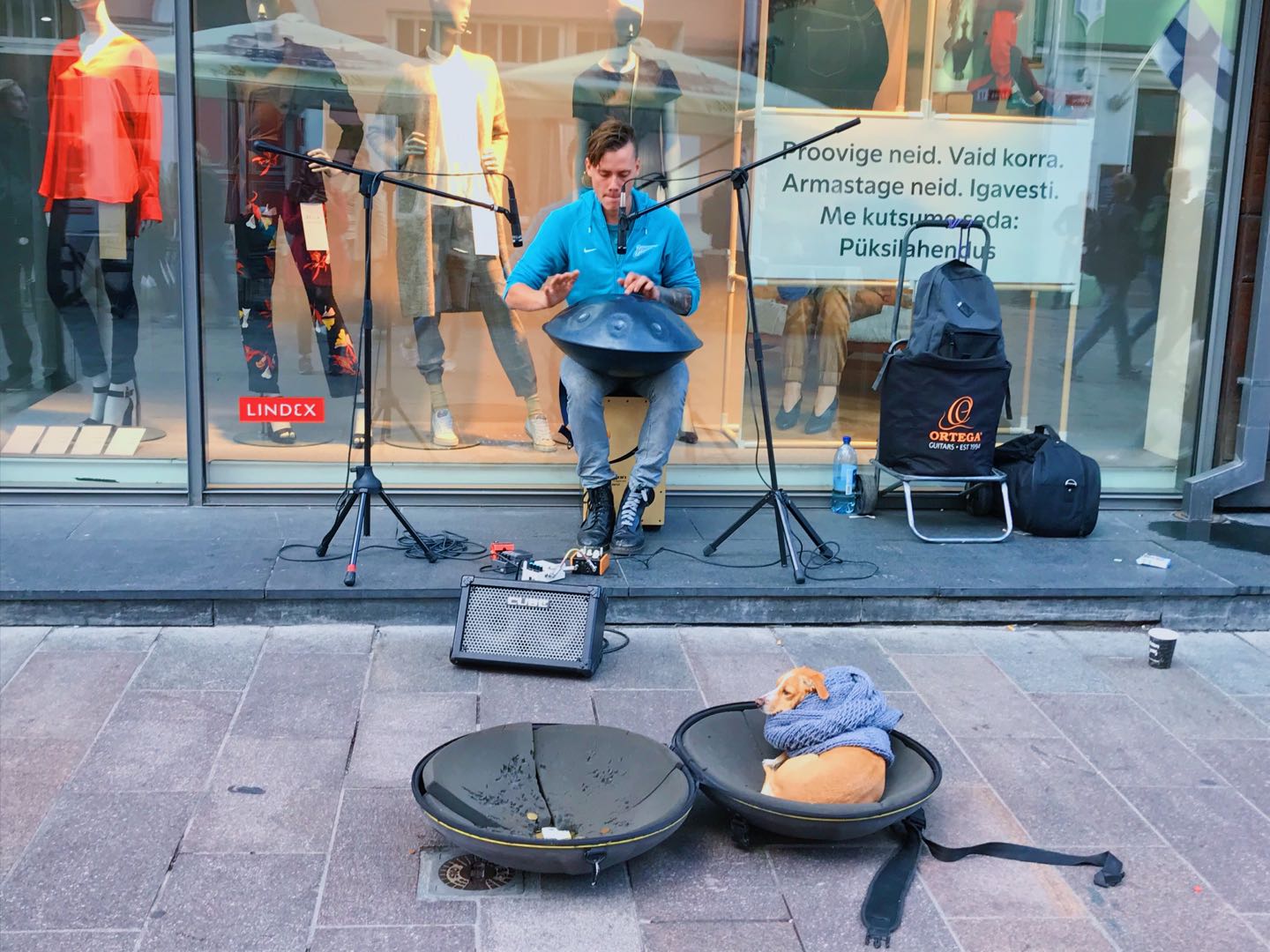 凯时|AG(AsiaGaming)优质运营商